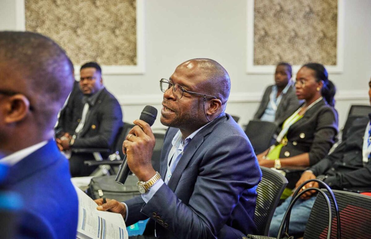 national AI governance framework Nigeria innovation public safety balance