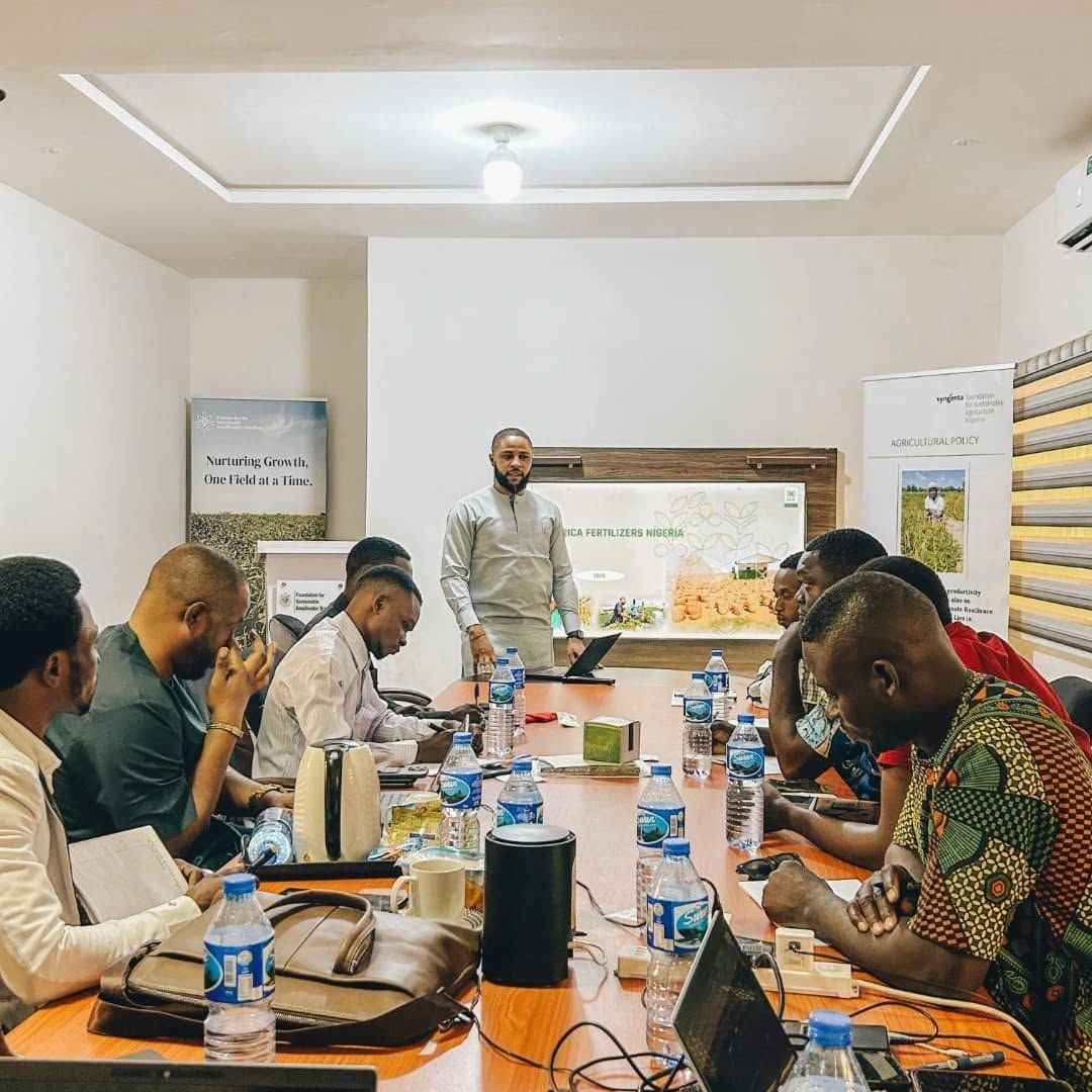 census survey data Nigeria national development planning guidance
