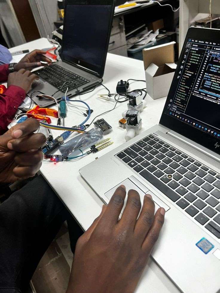 Nigerian civil servants using digital government service 
